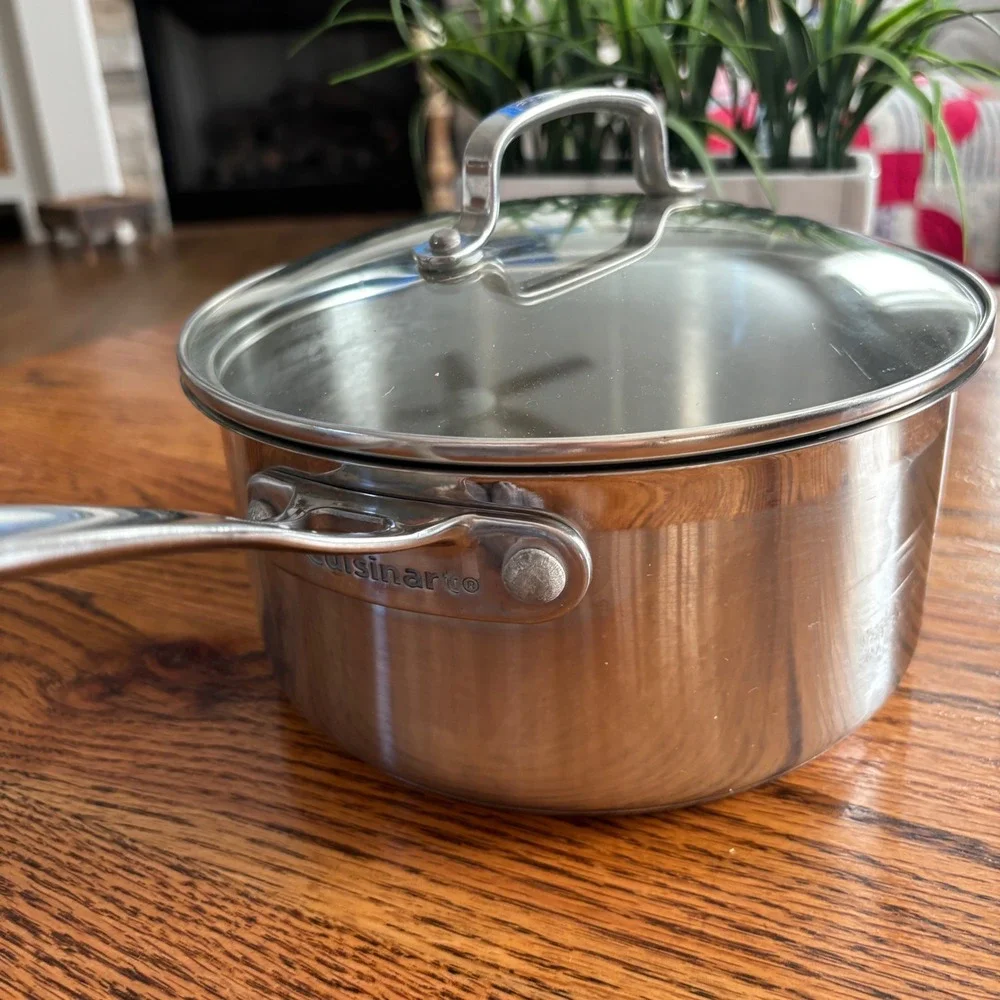 Cuisinart Stainless Steel Saucepan with Glass Lid Silver Professional Cookware